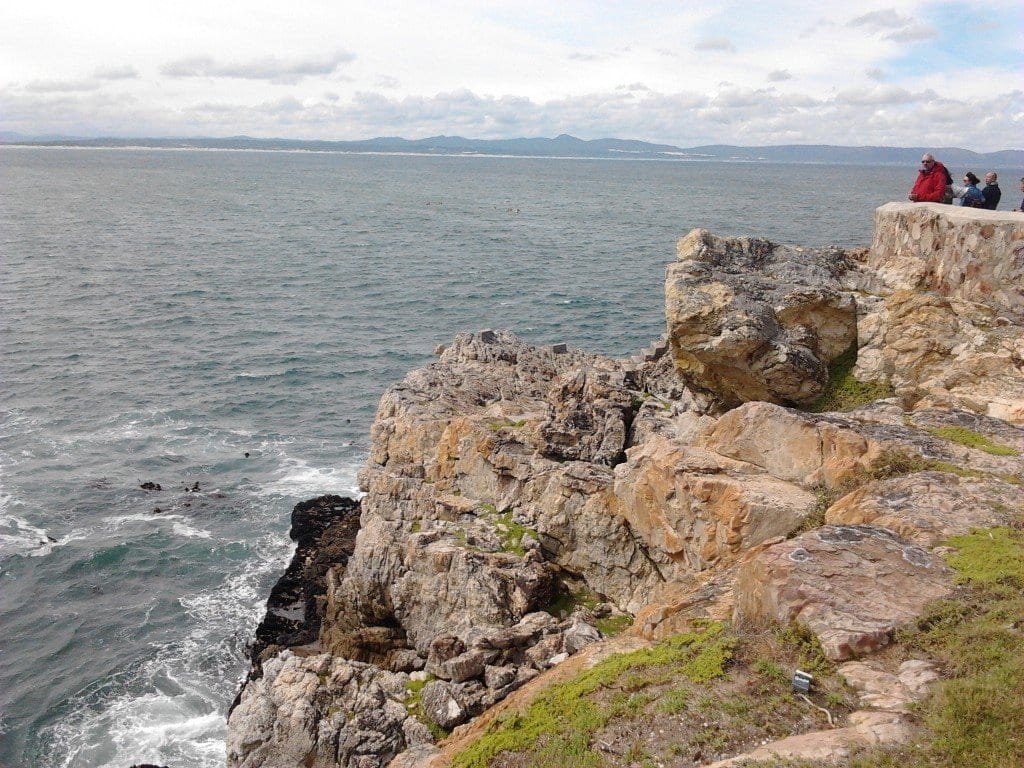 land-based-whale-watching-hermanus-overberg-gems