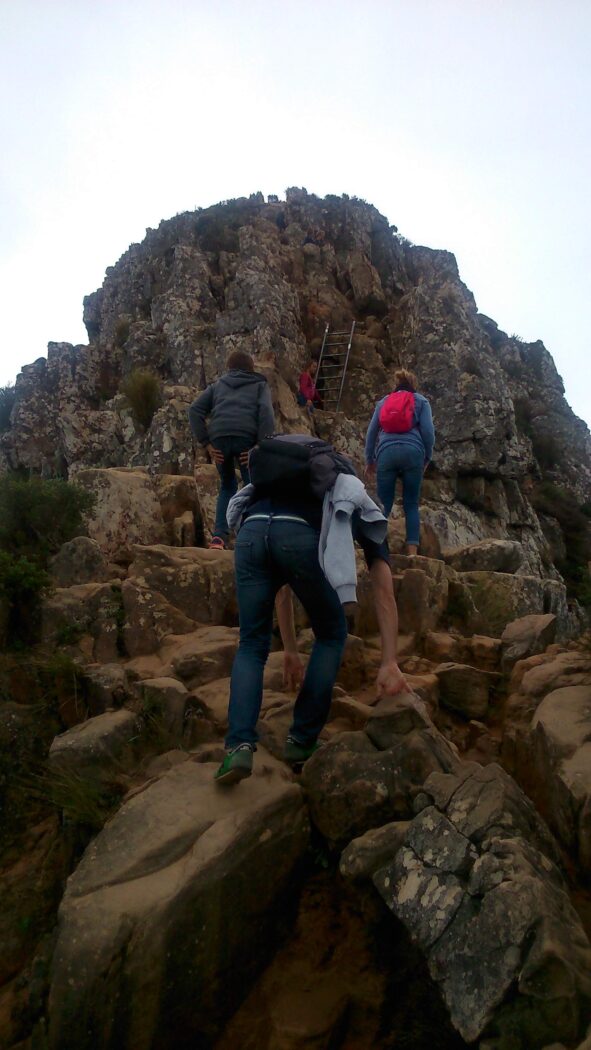 summit-ridge-lions-head
