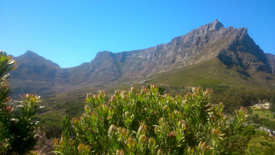 lions-head-hike-table-mountain