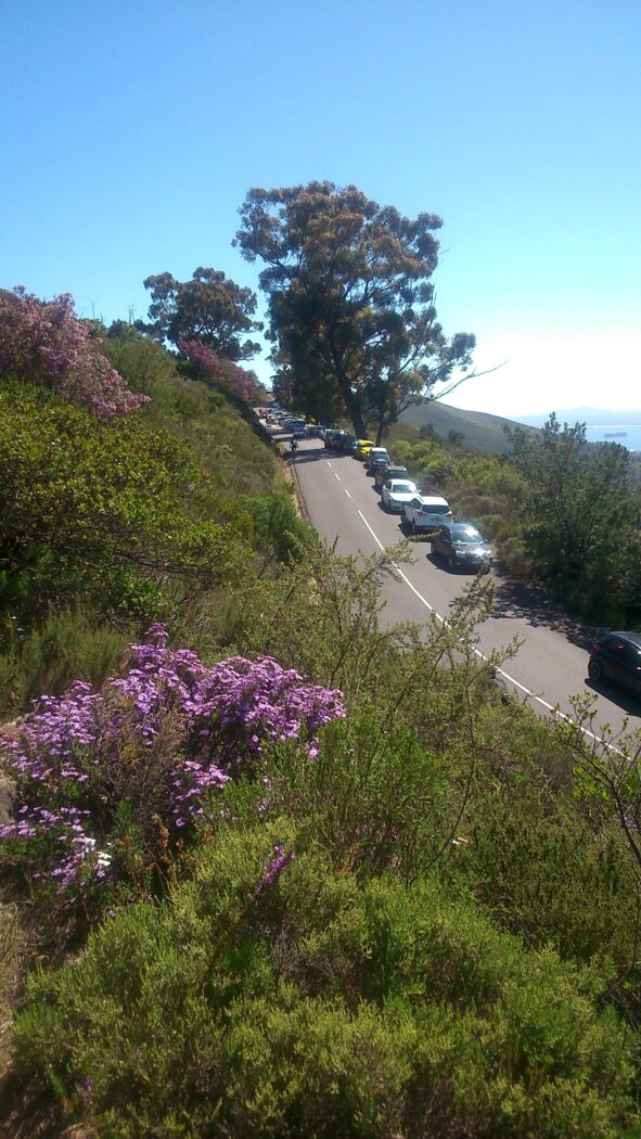 car-park-lions-head