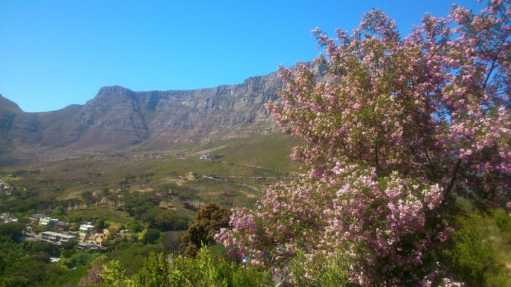 keurbooms-table-mountain