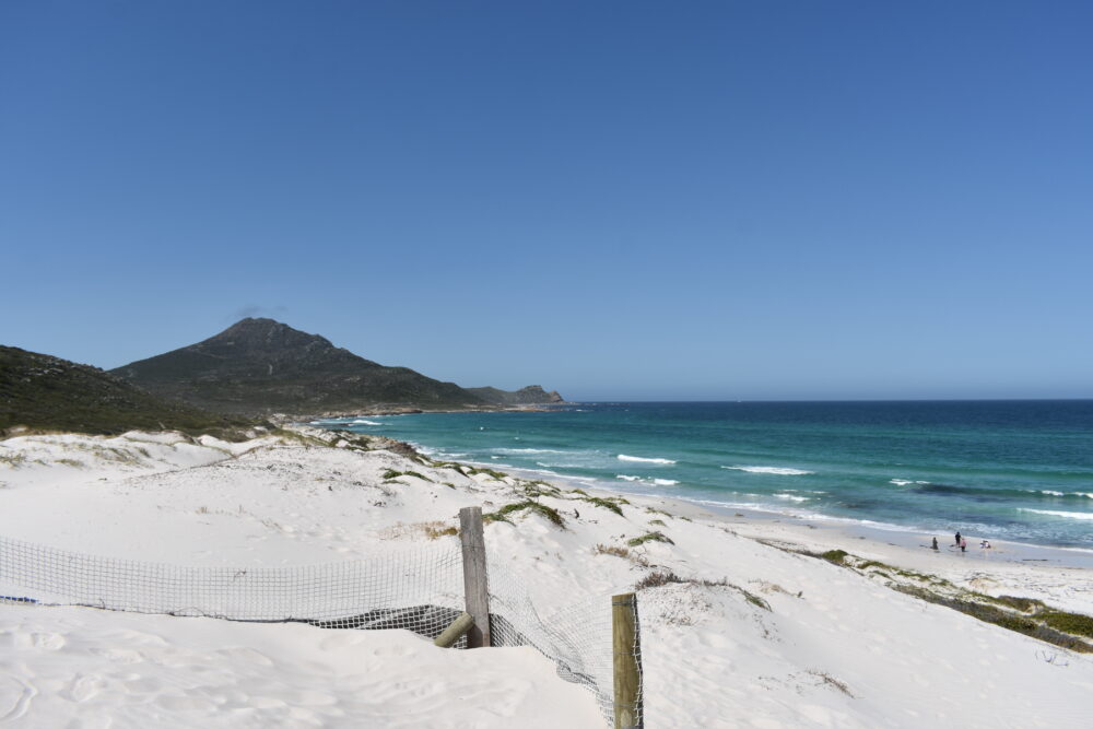 platboom-beach-cape-point-things-to-do