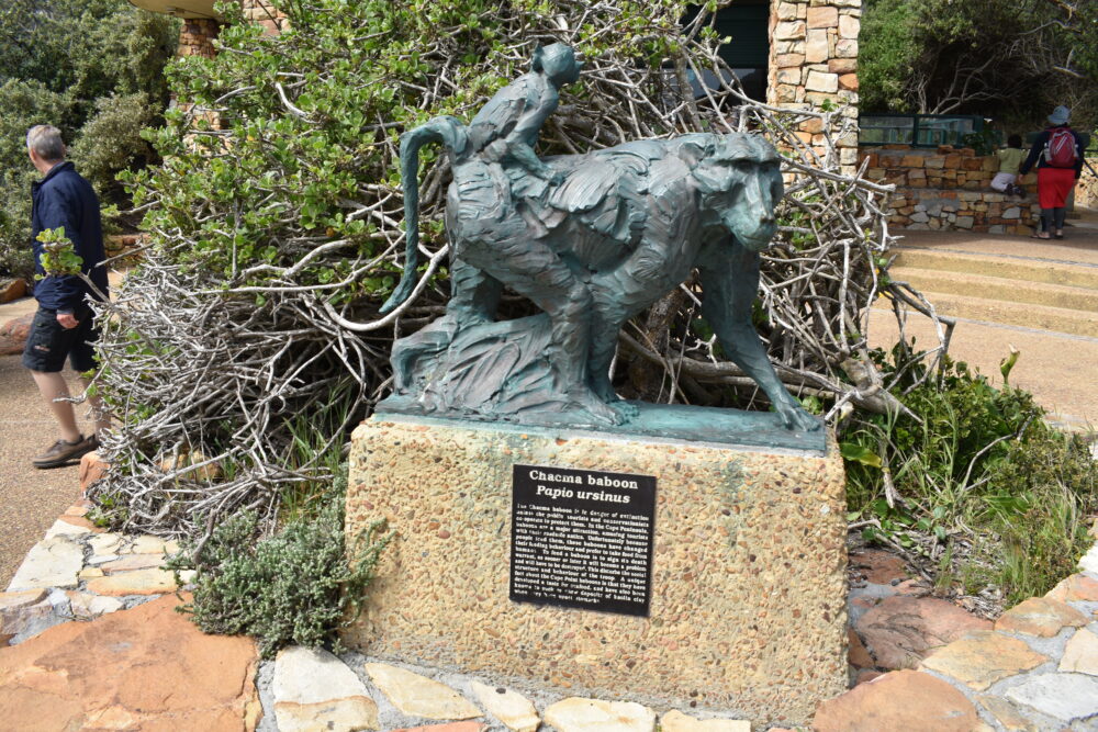 chacma-baboon-statue