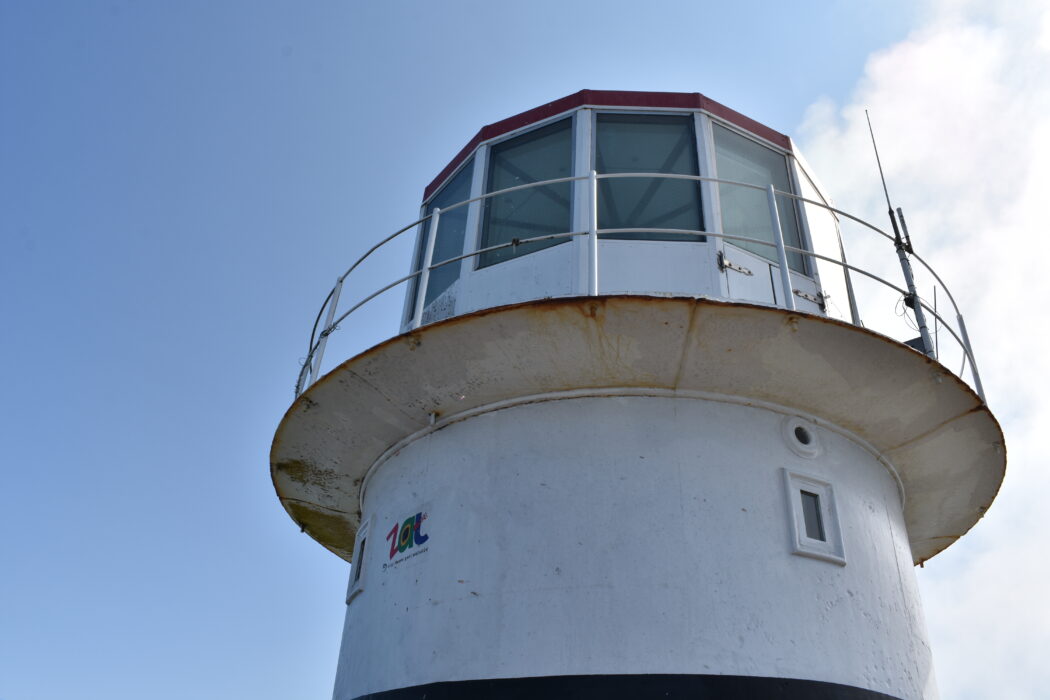 10 Things I Love About Cape Point Nature Reserve