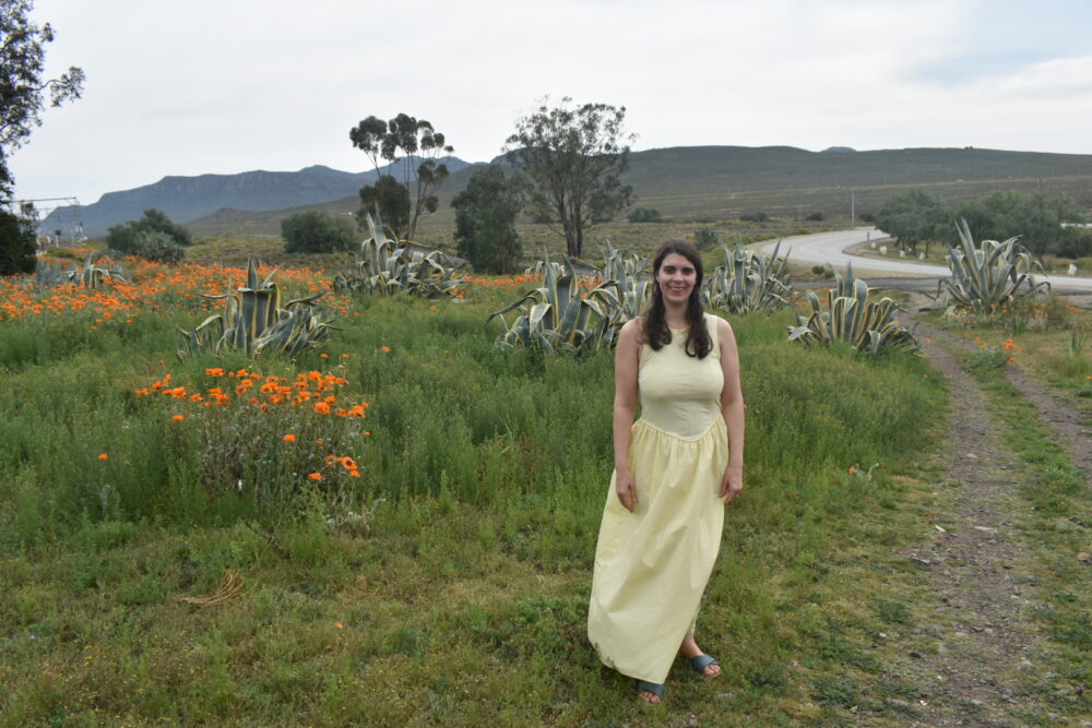 matjiesfontein-spring-flowers