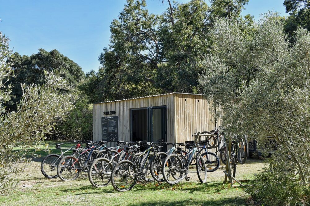 boschendal-trail-centre-mtb
