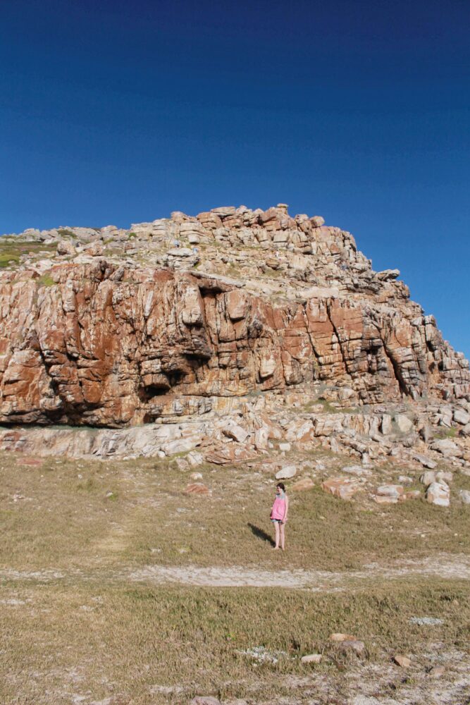 cape-of-good-hope-reserve