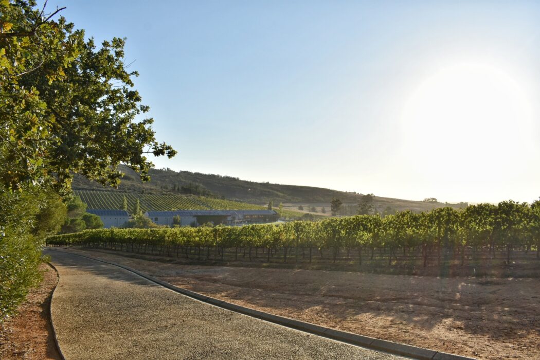 quoin-rock-stellenbosch