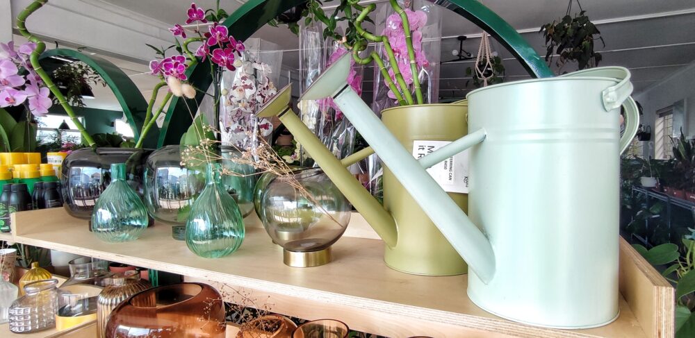 plant-coffee-shop-cape-town