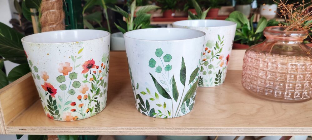 greenery-cake-coffee-shops-cape-town