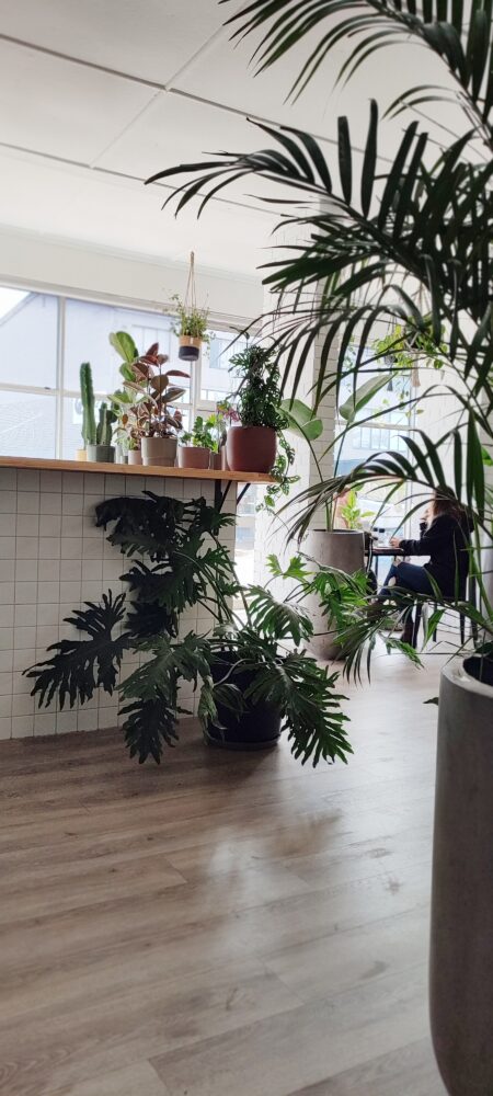 plant-shop-cafe