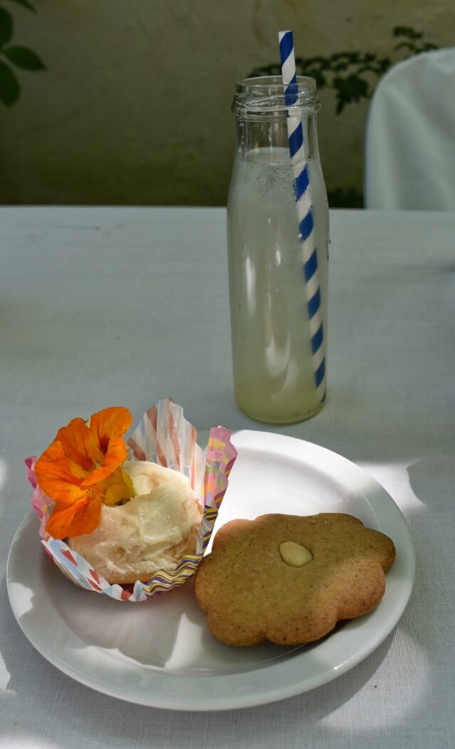 lemonade-and-cookies