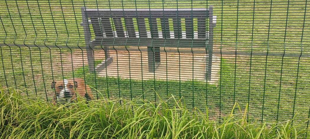 kenridge-bark-park
