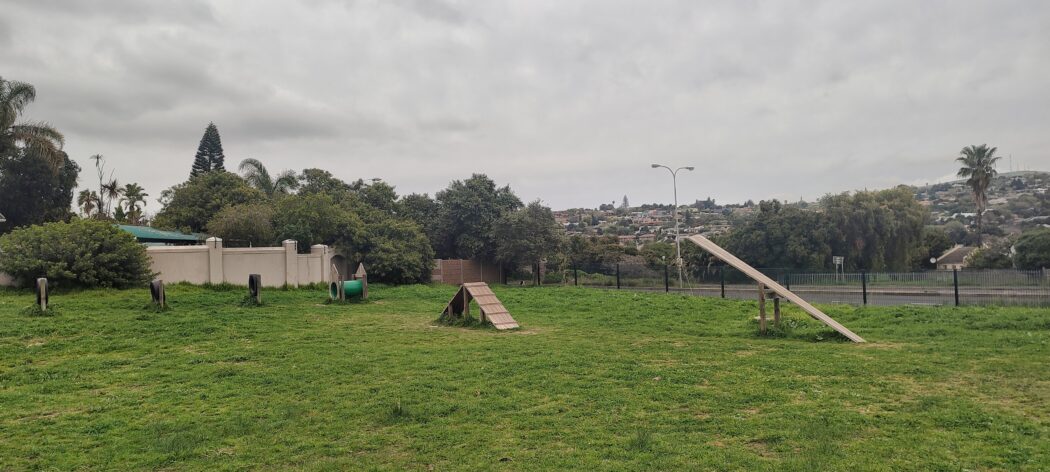 northern-suburbs-gems-kenridge-dog-park