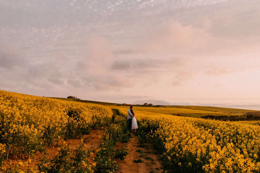 jana-marnewick-photography-canola-fields-northern-suburbs-gems