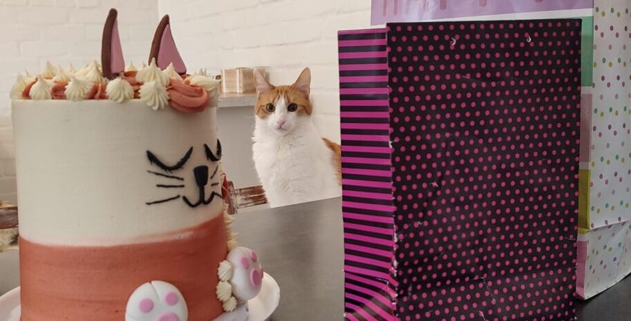 tessas-bakery-cat-cake