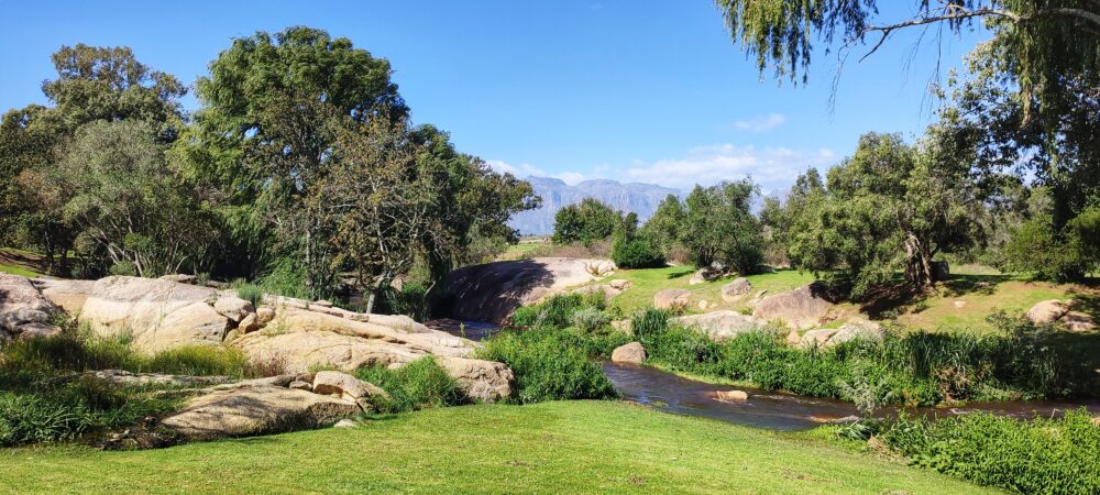spier-stellenbosch