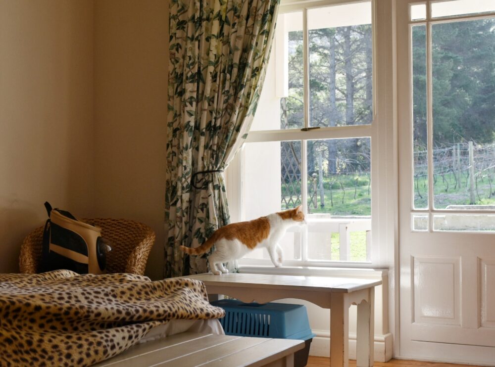 bluegum-country-estate-pet-friendly