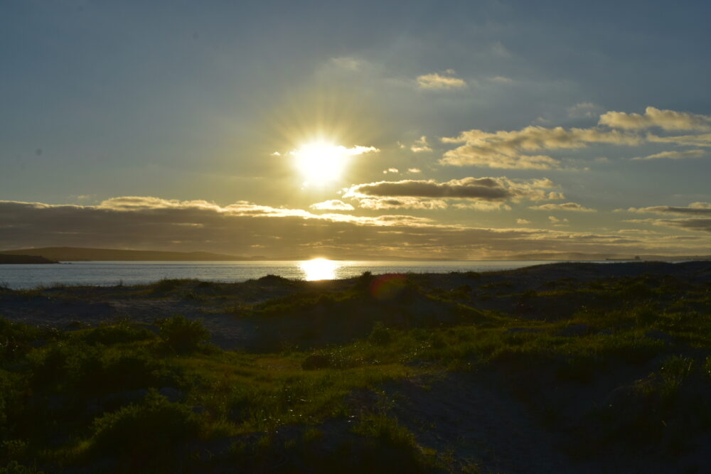 langebaan-pet-friendly-beaches
