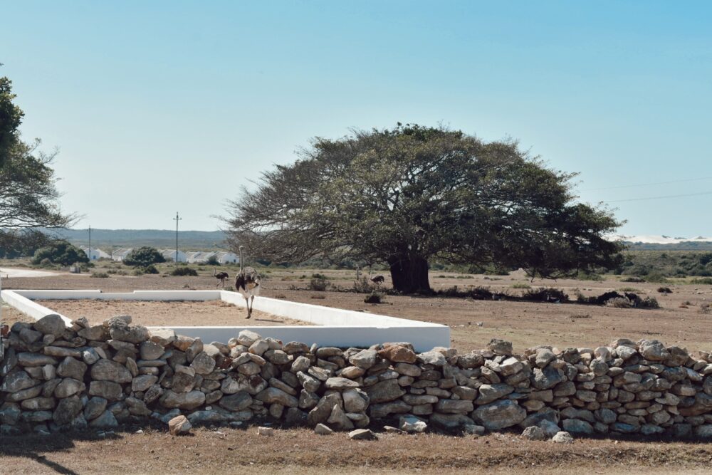 de-hoop-nature-reserve
