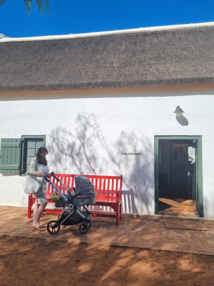spier-wine-farm-picnics
