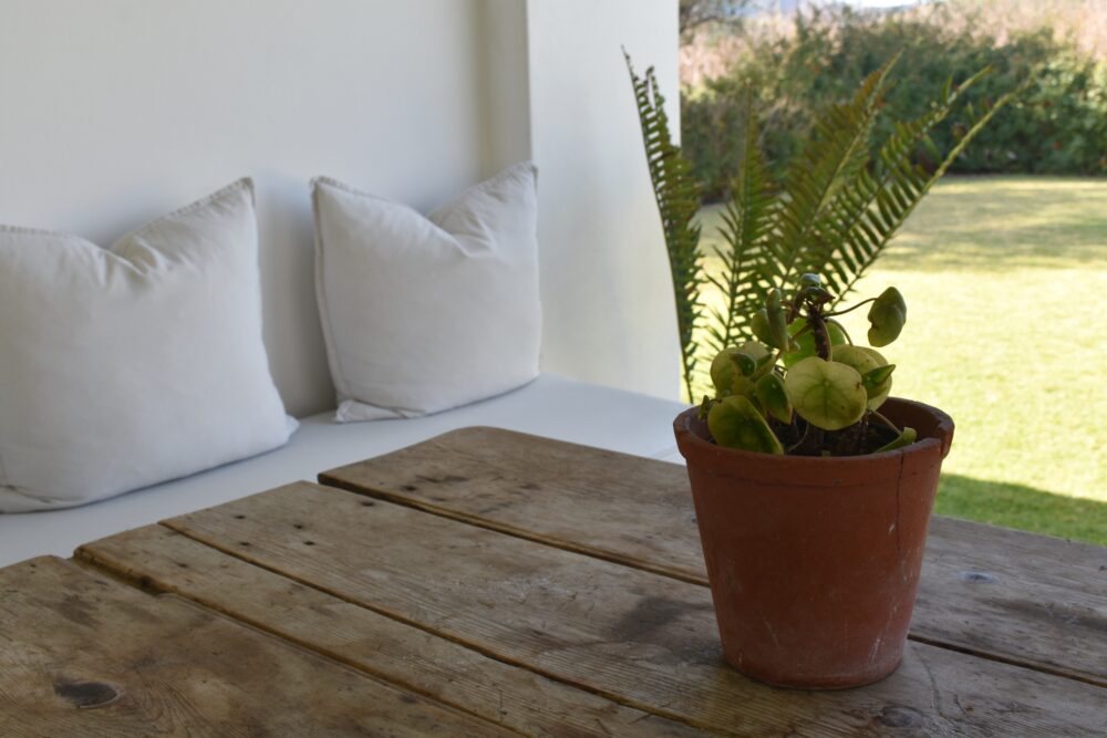 porch-karoo-prinia-montagu-stay
