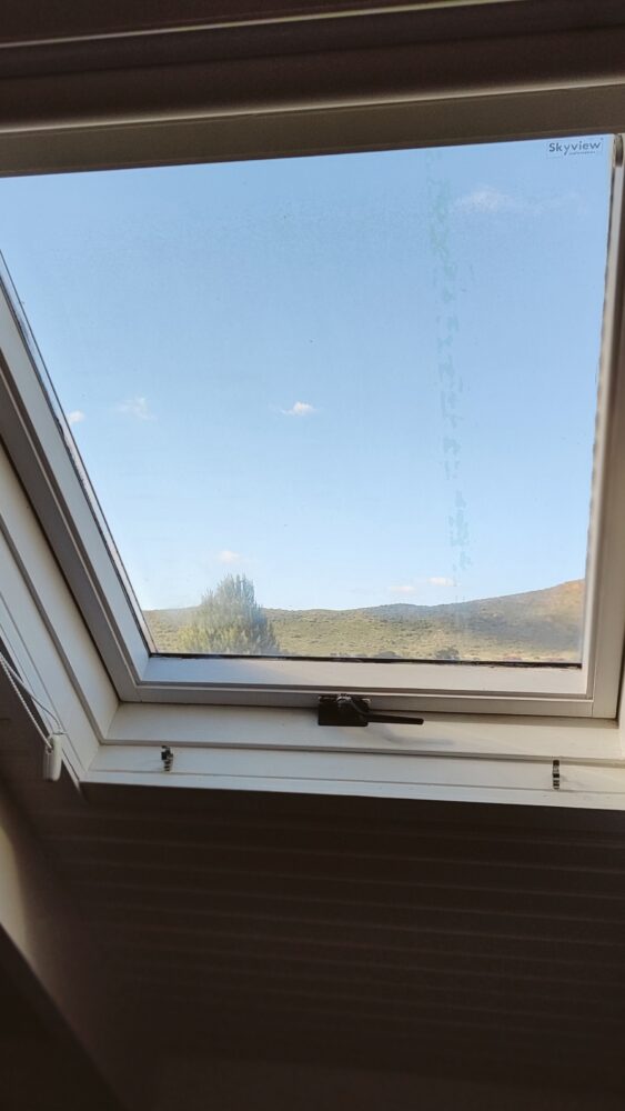 roof-window-karoo-prinia