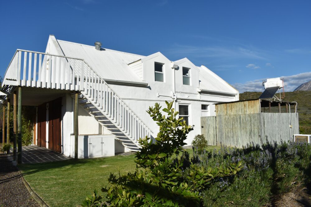 karoo-prinia-montagu-stay