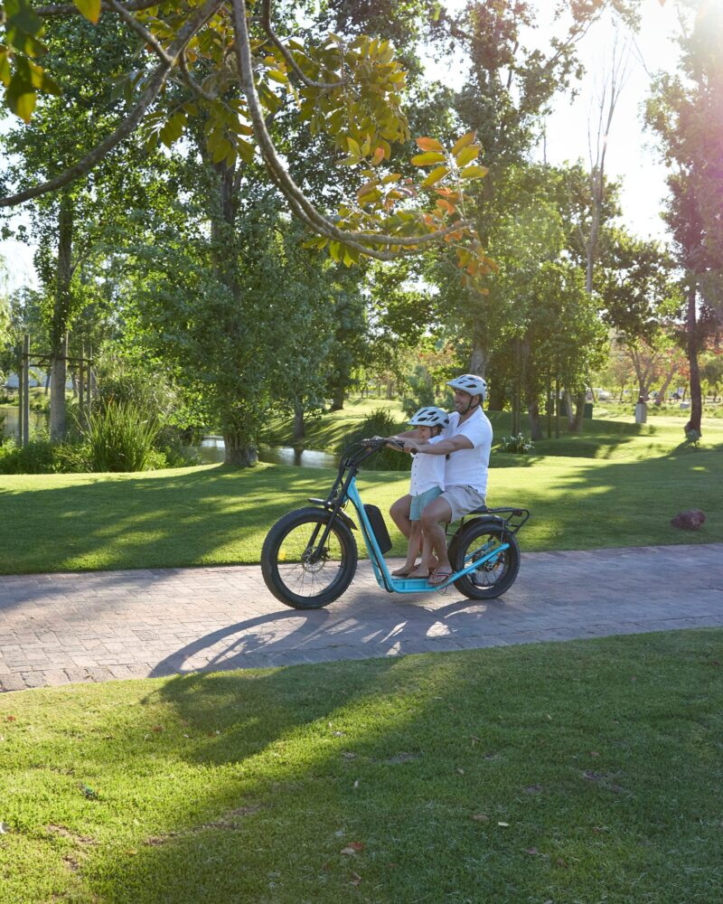 segway-mini-rides