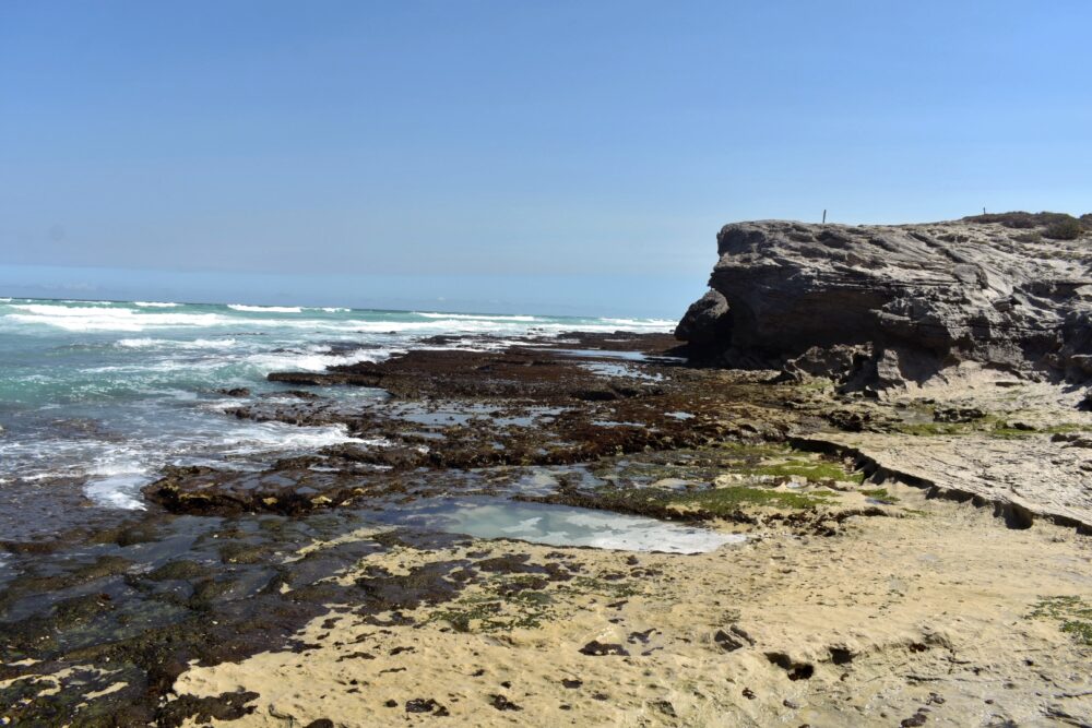 beach-de-hoop-nature-reserve