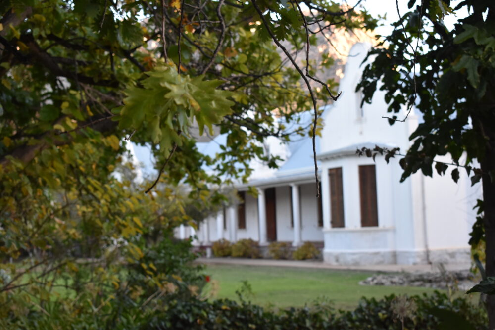 montagu-streets