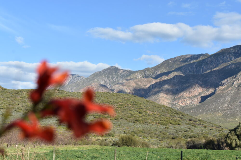 montagu-hikes