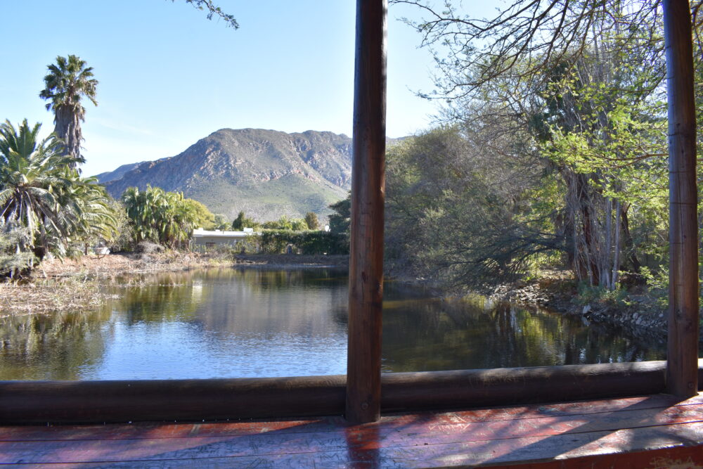 leidam-montagu