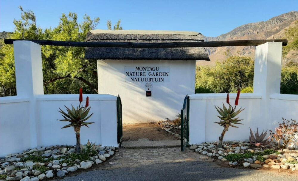 montagu-nature-garden