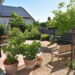 best-child-friendly-restaurants-wine-estates-near-cape-town