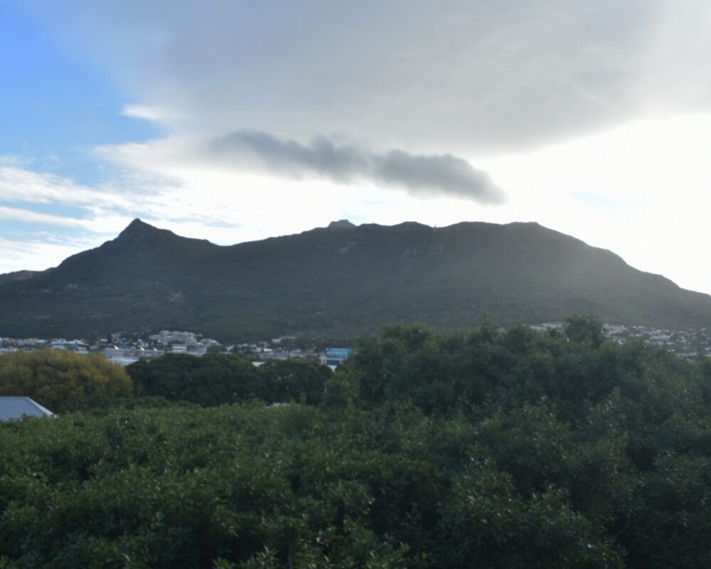 dk-villas-harbour-view-apartment-hout-bay-self-catering
