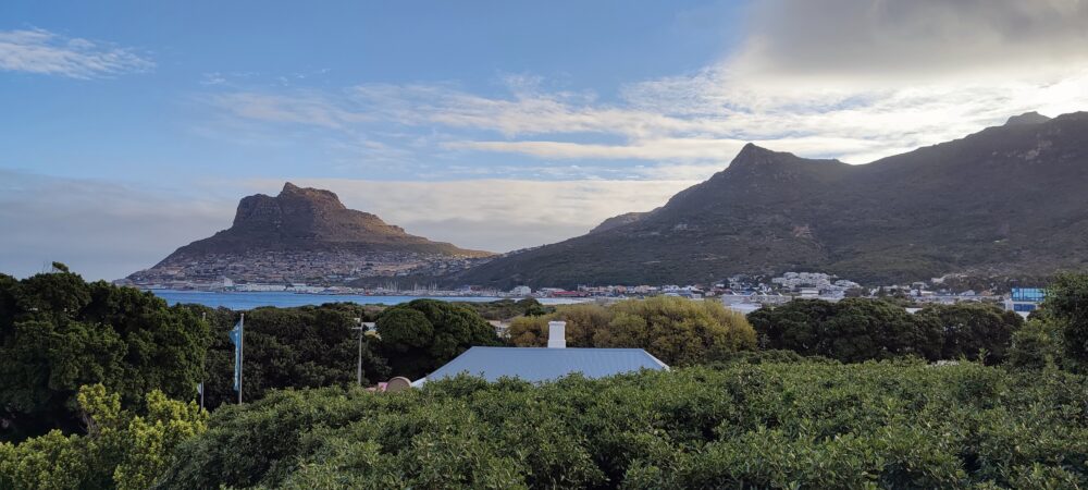 harbour-view