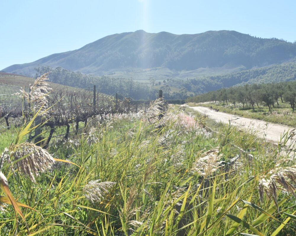 val-du-charron-child-friendly-walk