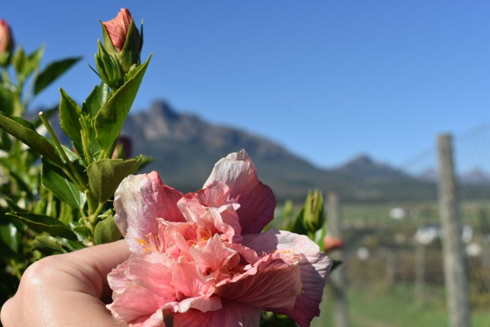 val-du-charron-wellington-getaway