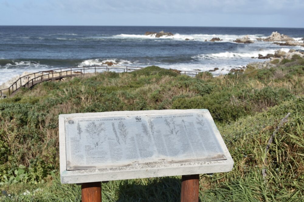kleinmond-coastal-walk