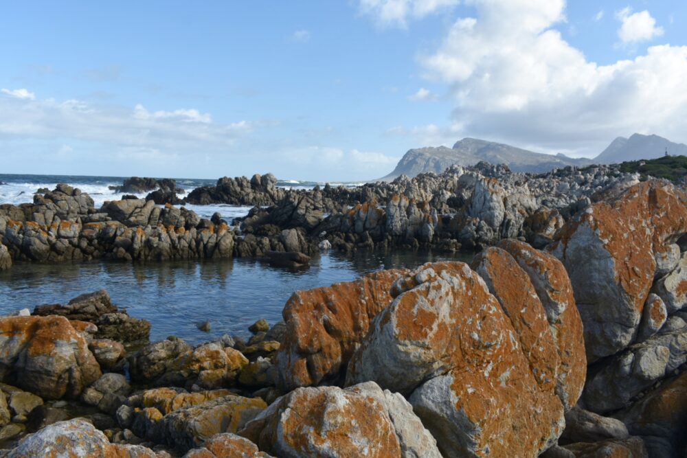 rockpool