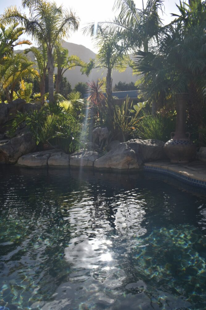 natural-pool