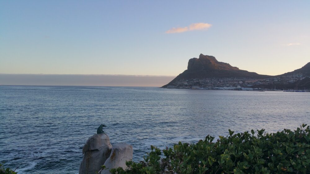 leopard-statue-hout-bay