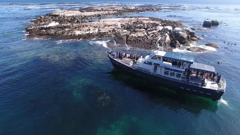 circe-launches-hout-bay-tour