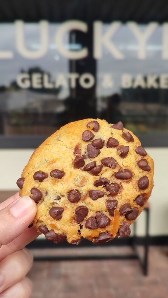 choc-chip-cookie