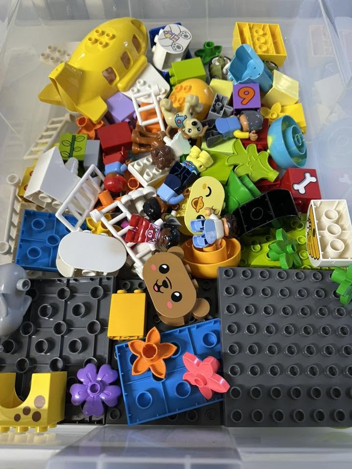 duplo