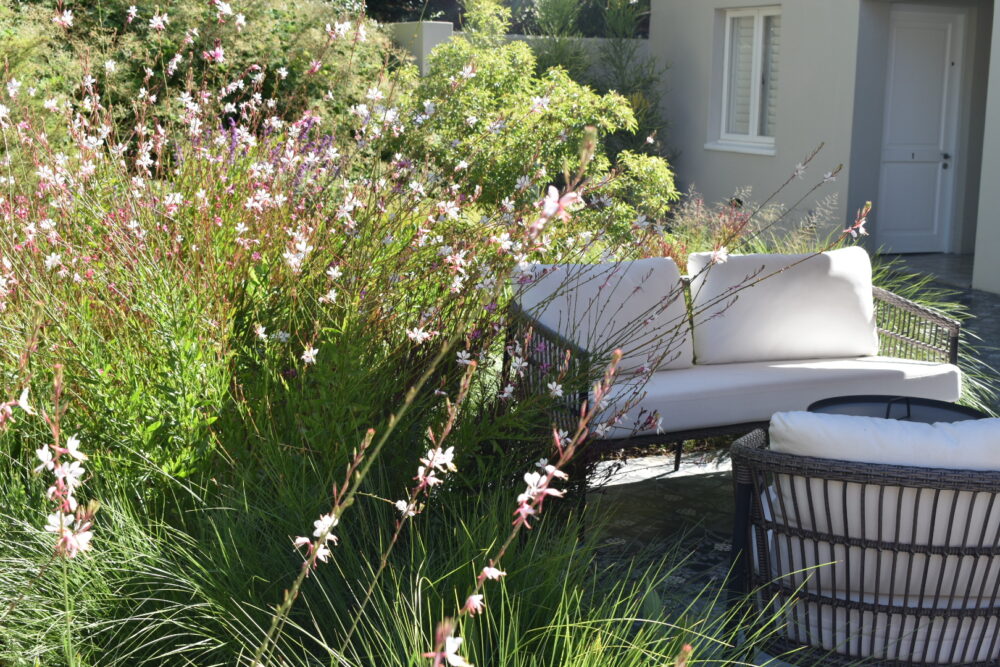sugarbird-manor-guesthouse