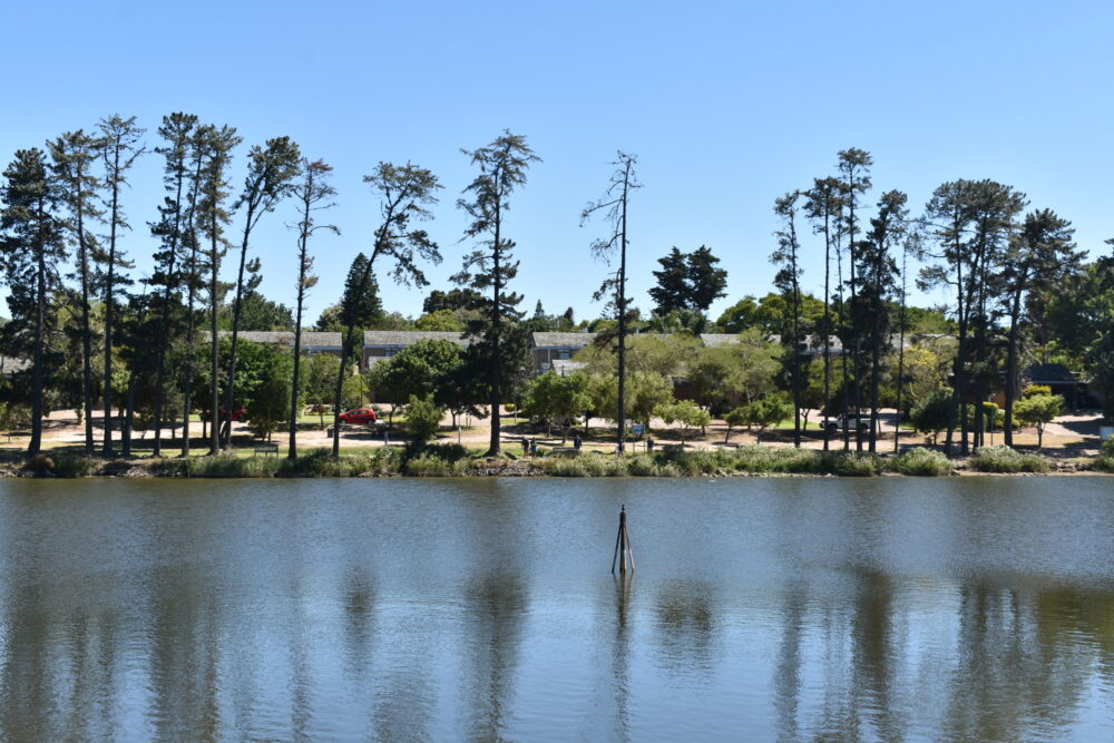 northern-suburbs-parks