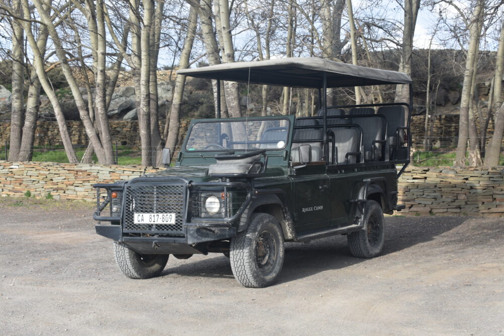 rogge-cloof-game-drives