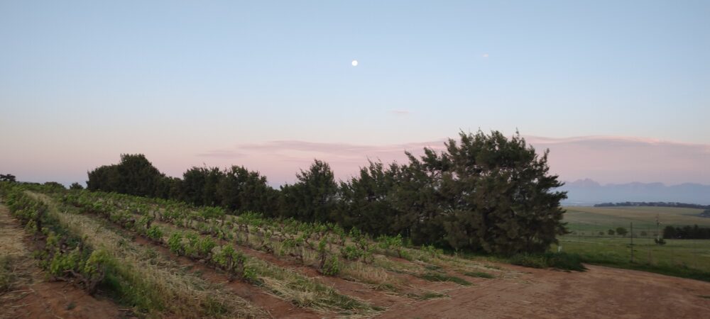 Meerendal-full-moon-hike